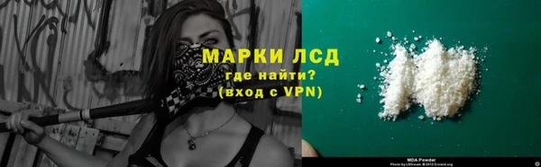 индика Белокуриха