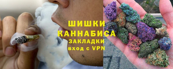 индика Белокуриха