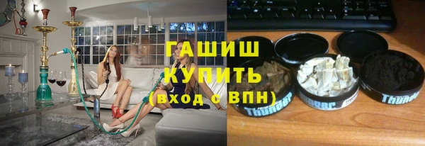 индика Белокуриха